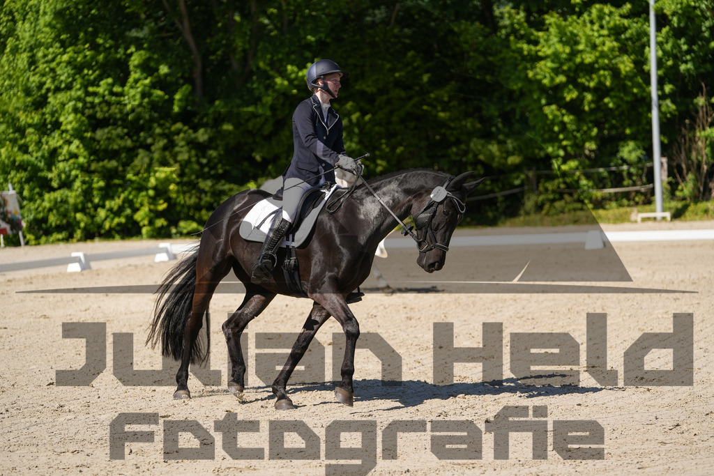 DSC00471 | Julian Held Fotografie - Realisiert mit Pictrs.com