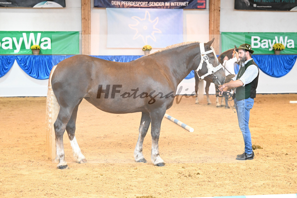 Kat-Nr. 53 Zusi_Echtler_53220165 | hf-fotografie - Realisiert mit Pictrs.com