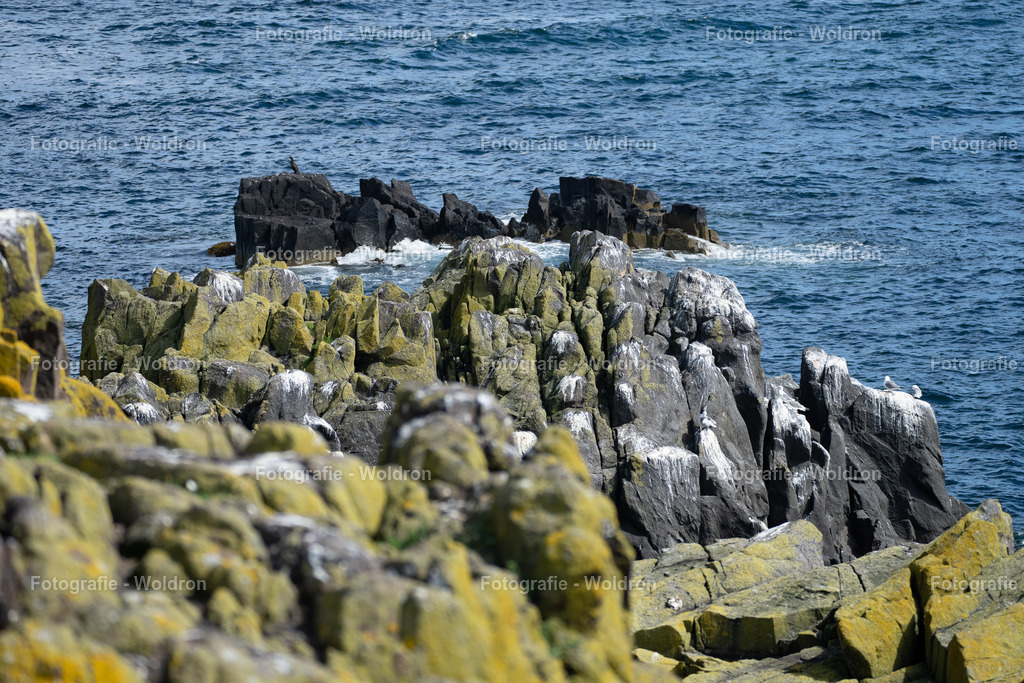 20230815 Isle of Sky - St.Andrews - Dundee-63 | Fotografie Woldron