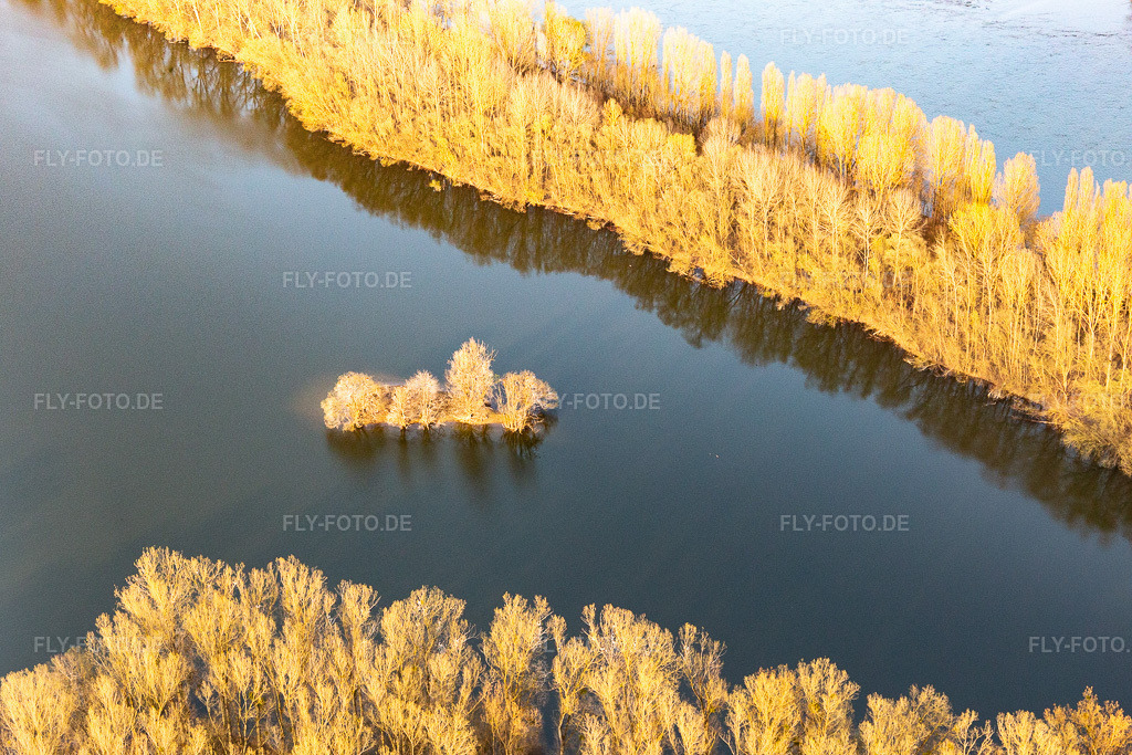 Luftbild: Altrheininsel in Leimersheim im Bundesland Rheinland-Pfalz in Deutschland. Foto: IMG_113255.jpg vom 23.03.2019 durch Werner Riehm/FLY-FOTO.de