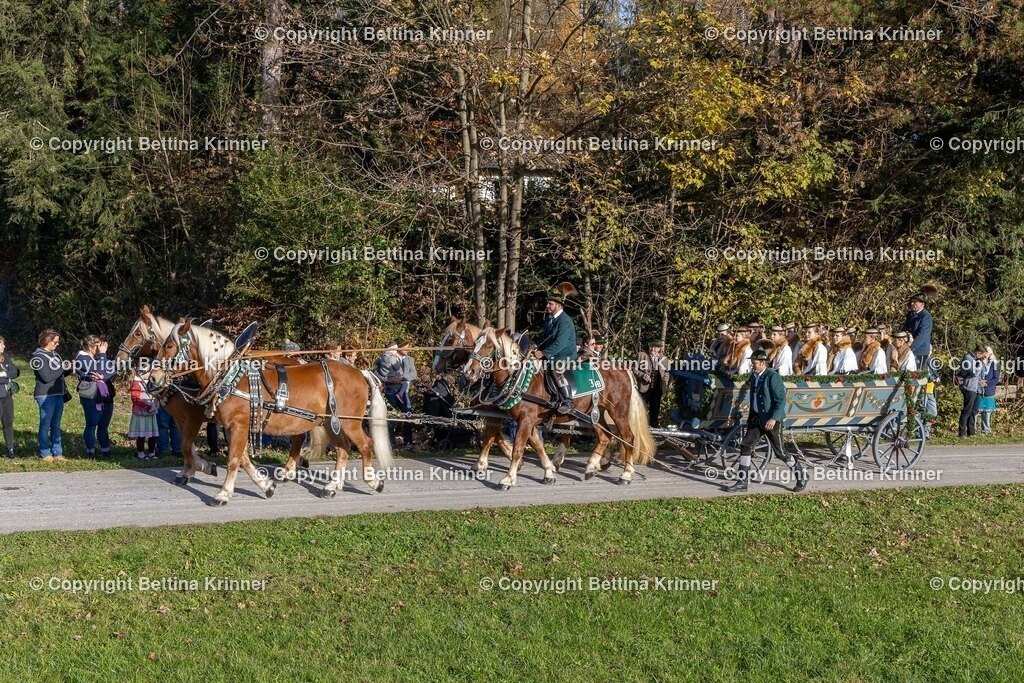 LBT24-304 | foto-bettina-krinner - Realisiert mit Pictrs.com
