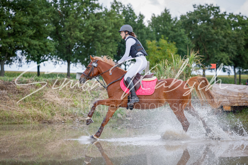 20250905-_3LI0565 | Tierfotografie Pferde, Hunde, Katzen, Haustiere.
Turnierfotografie Reitturniere, Reiten, Springreiten, Dressur in Hanau, dem Main-Kinzig-Kreis und dem Rhein-Main- Gebiet um Frankfurt