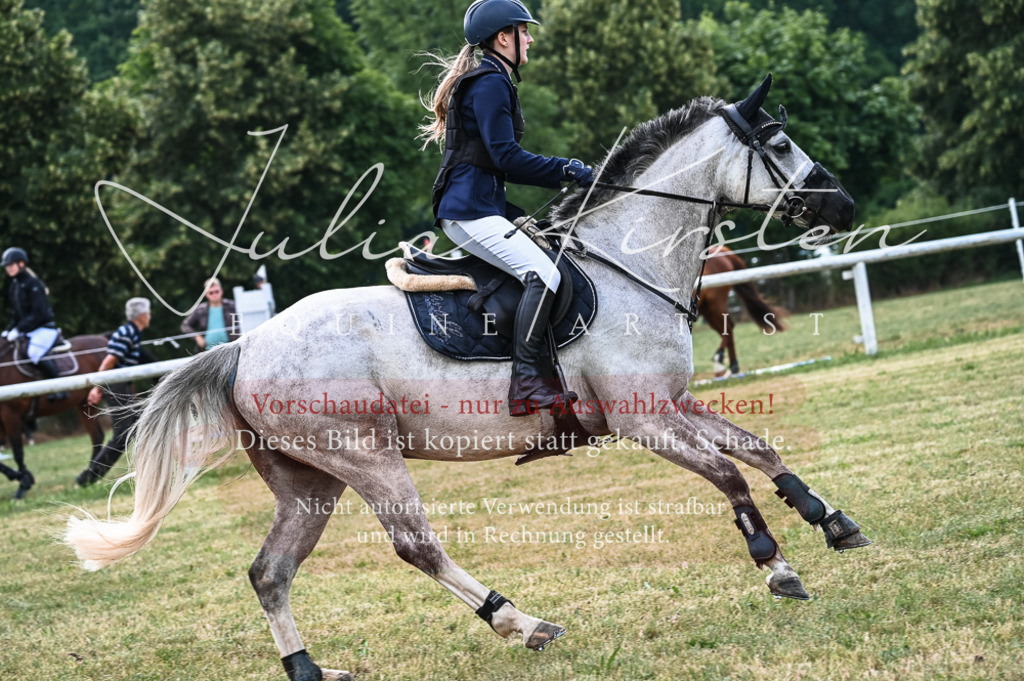 DSC_8145 | Pferde- und Turnierfotografie in Westsachsen. Pferdeportraits, Auftragszeichnungen und intuitive Kunst.
