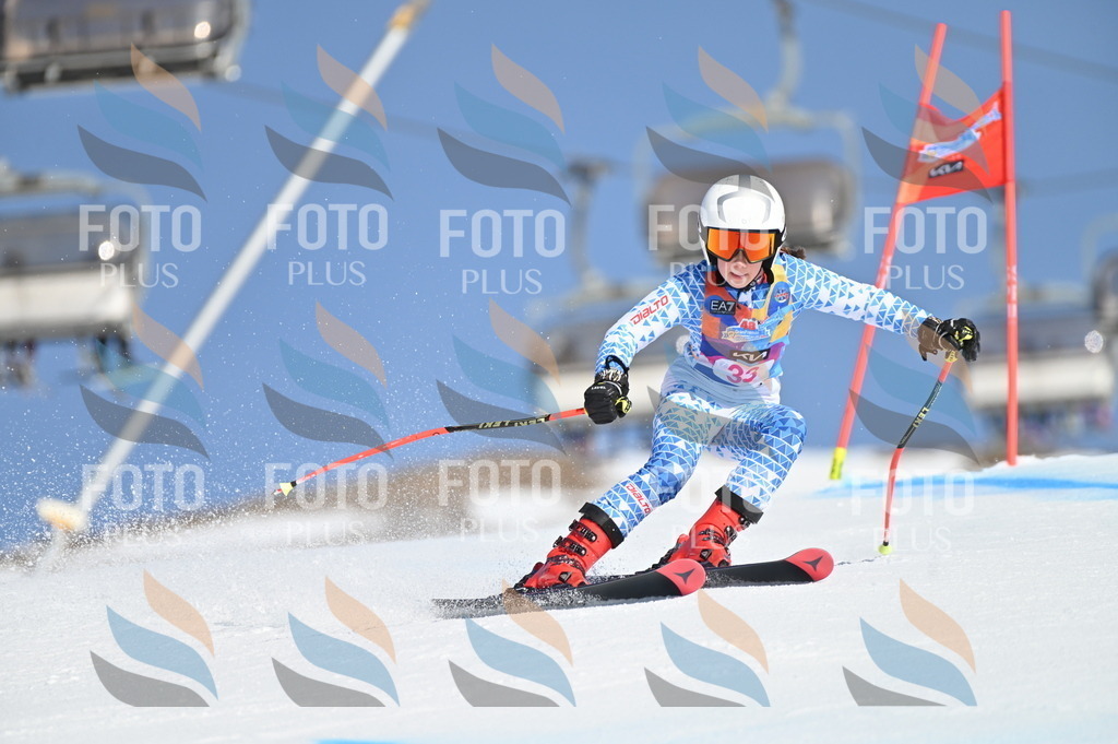 BGV_8196 | holidayphoto