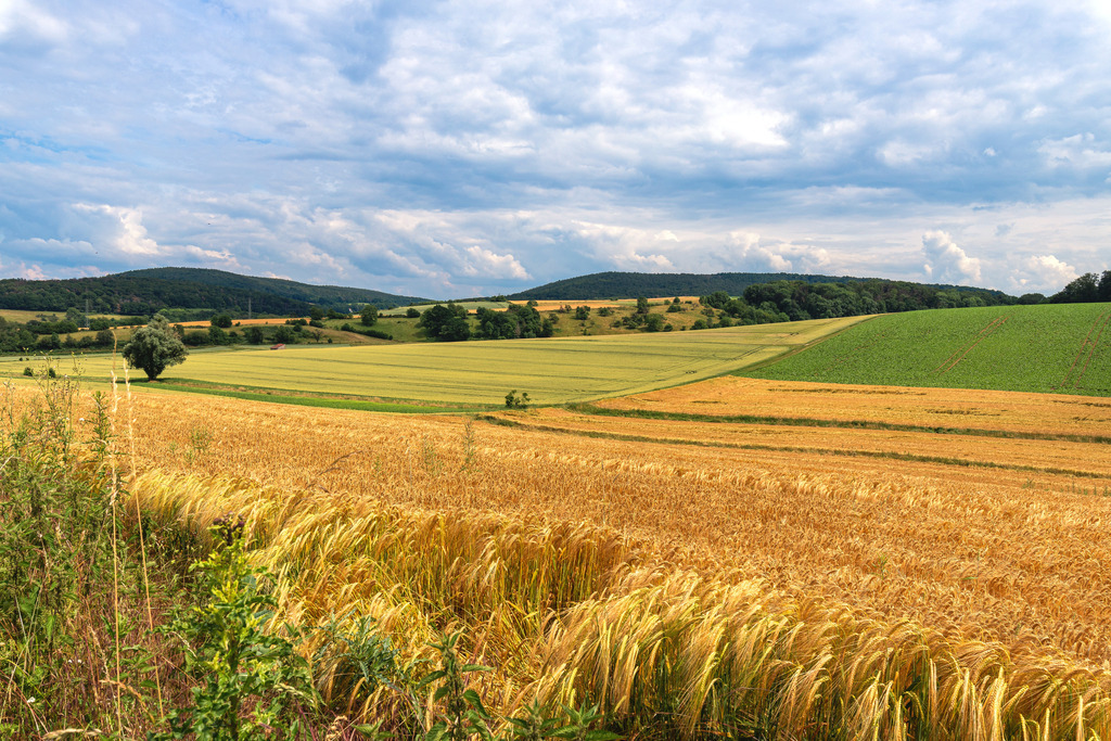 Odenwald | fotografie-bernd-pfalzgraf - Realisiert mit Pictrs.com