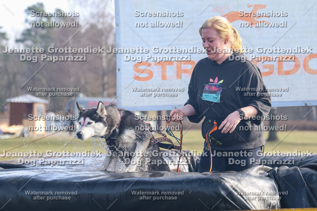 Dog Paparazzi - Strongdog North Mrz26-550 | Dog Paparazzi Jeanette Grottendiek Fotografie & Videografie - Realisiert mit Pictrs.com