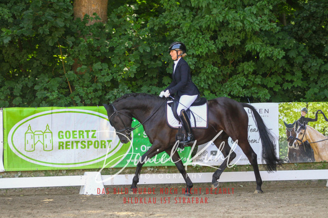 DKP42336 | Turniersportfotografie; Pferdefotografie; Dressurfotografie