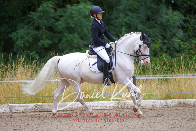 DKP47117 | Turniersportfotografie; Pferdefotografie; Dressurfotografie