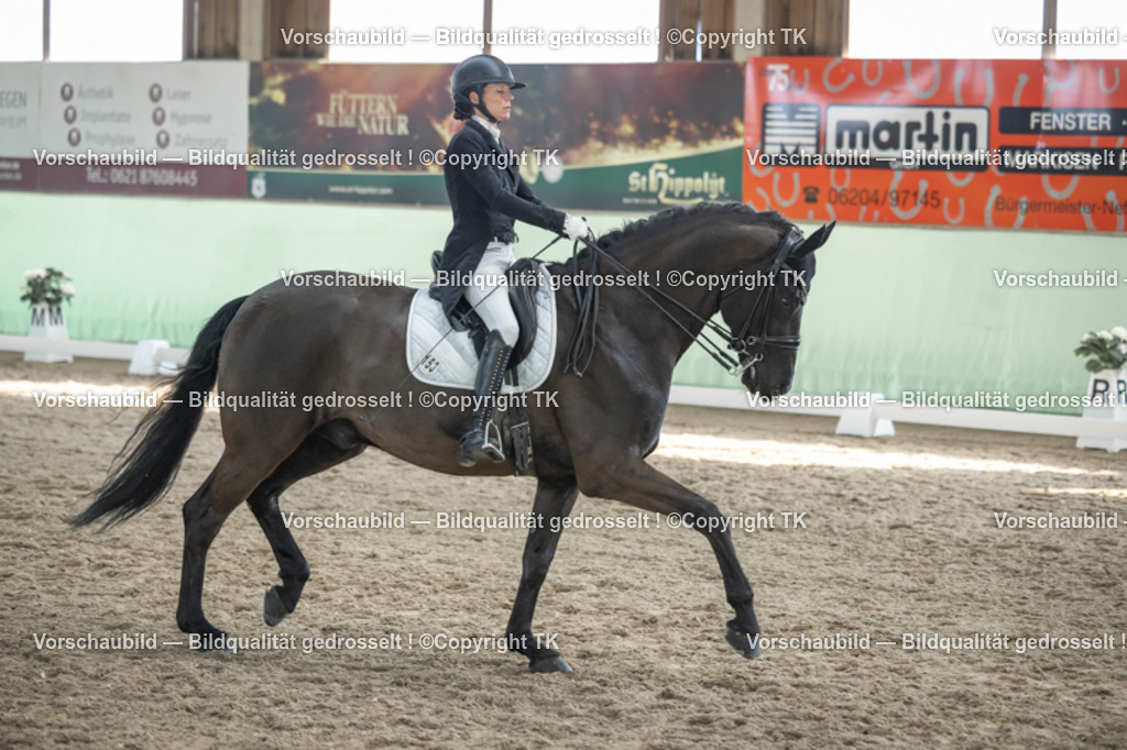 _D5A0343 | Emotionale Pferde- & People-Fotografie rund um Heidelberg, Leimen & Umgebung. Natürliche Fotos von Pferd, Mensch & Familie. Jetzt Termin sichern!