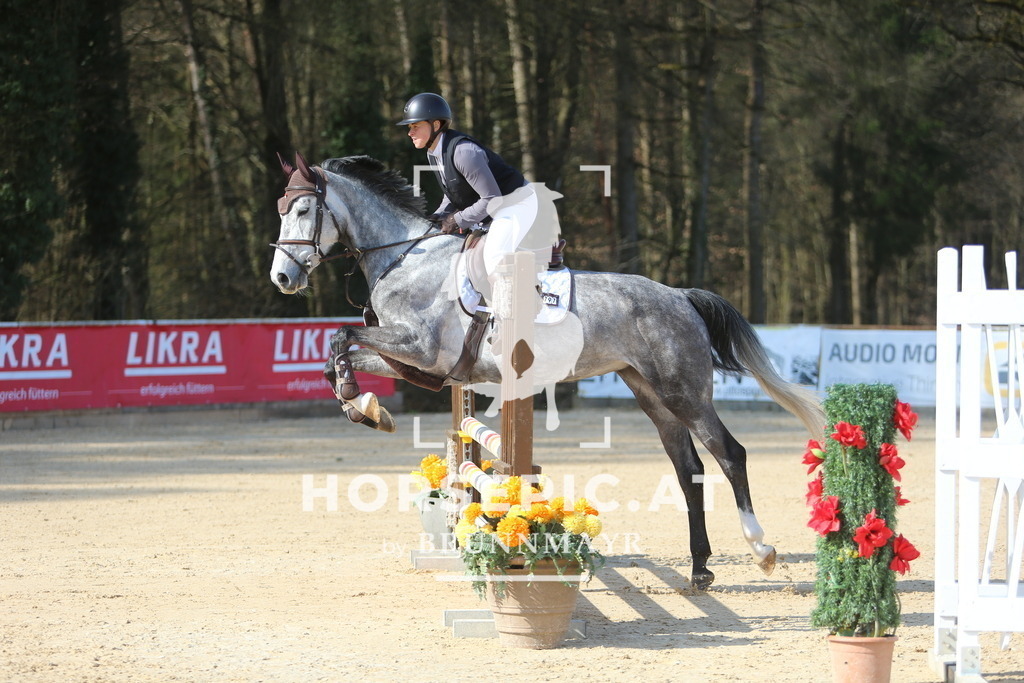 DL2Q8104 | Willkommen bei Brunnmayr - Design & Fotografie – Ihrem Spezialisten für Reitturniere und Pferdeveranstaltungen in Oberösterreich, Salzburg und Bayern! Seit über 17 Jahren sind wir leidenschaftlich dabei.