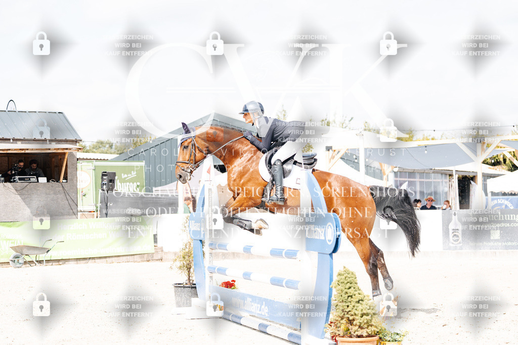 CK908787 | Turnierfotografie Pferdefotografie Trier Rheinland-Pfalz Pferdesport Reitsport Tierfotografie Sportfotografie Pferdevideo Pferdevideografie Equestrianvideography equestrianphotography  - Realisiert mit Pictrs.com