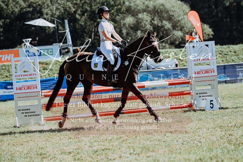 DSC_6747 | Pferde- und Turnierfotografie in Westsachsen. Pferdeportraits, Auftragszeichnungen und intuitive Kunst.