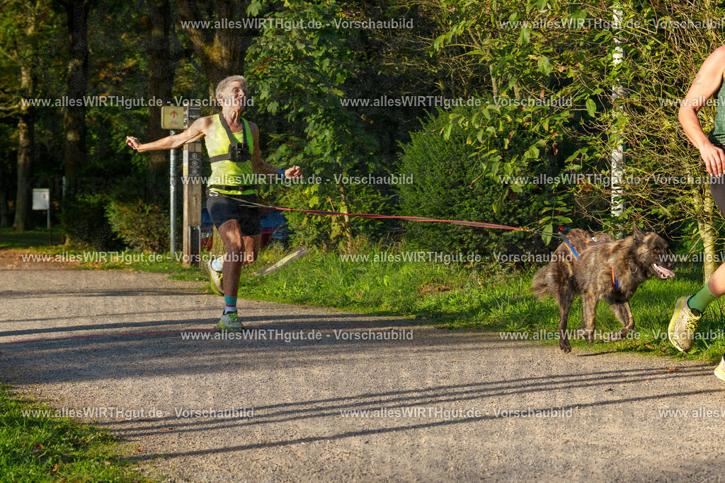 THS_Turnier_27-09-2026-allesWIRTHgut_Tierfotografie-7R505244 | Professionelle Tierfotografie in Mönchengladbach von Daniel Wirth (allesWIRTHgut). Liebevolle & natürliche Bilder von Hunden & Katzen für unvergessliche Erinnerungen.
