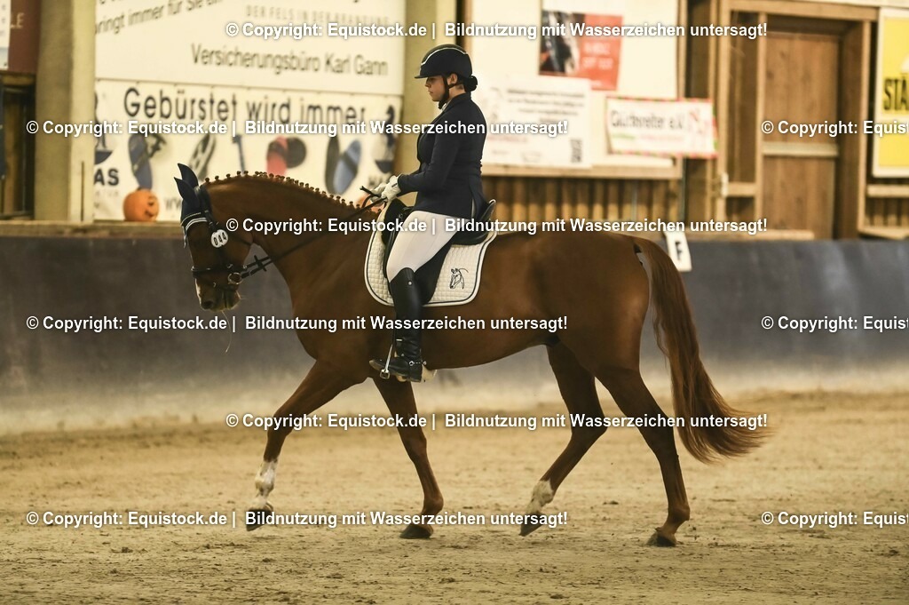 20231029_04_Dressur-WB_0016 | Foto: Thomas Hartig