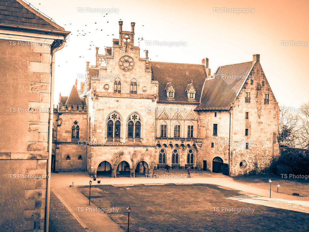 IMG_4486 | TS Photography - Realisiert mit Pictrs.com