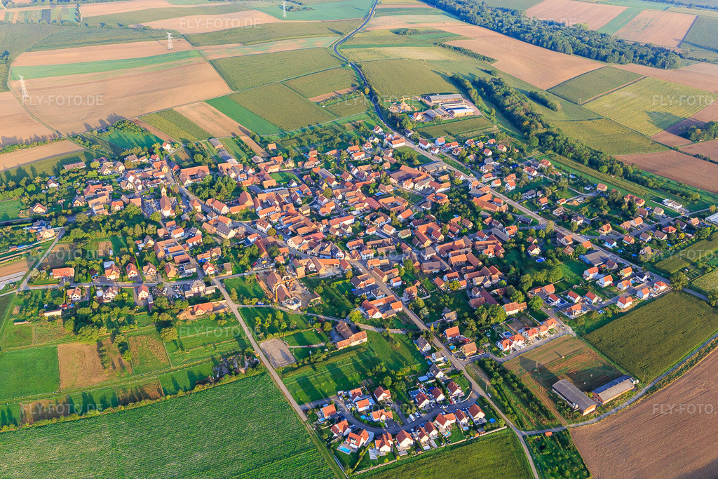 Luftbild: Ortsansicht von Osten in Saessolsheim im Bundesland Bas-Rhin in Frankreich. – Foto: IMG_138040.jpg vom 19.08.2023 durch Werner Riehm/FLY-FOTO.de – Auflösung des Originals: 5110 x 3407 px