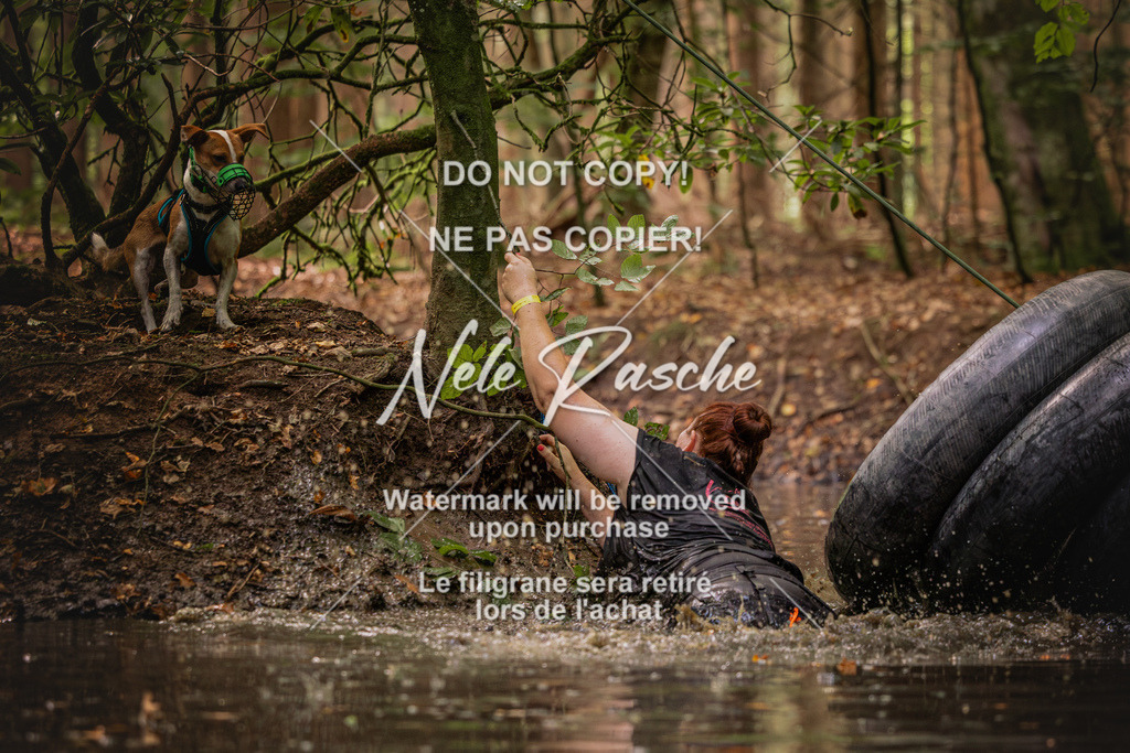 nelerasche_SaWingst0845-1000_262 | nelerasche