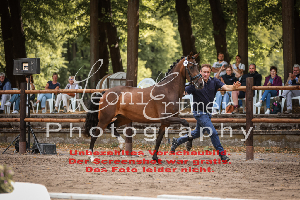 SoER00118 | Leoni Ertmer Photography - Realisiert mit Pictrs.com