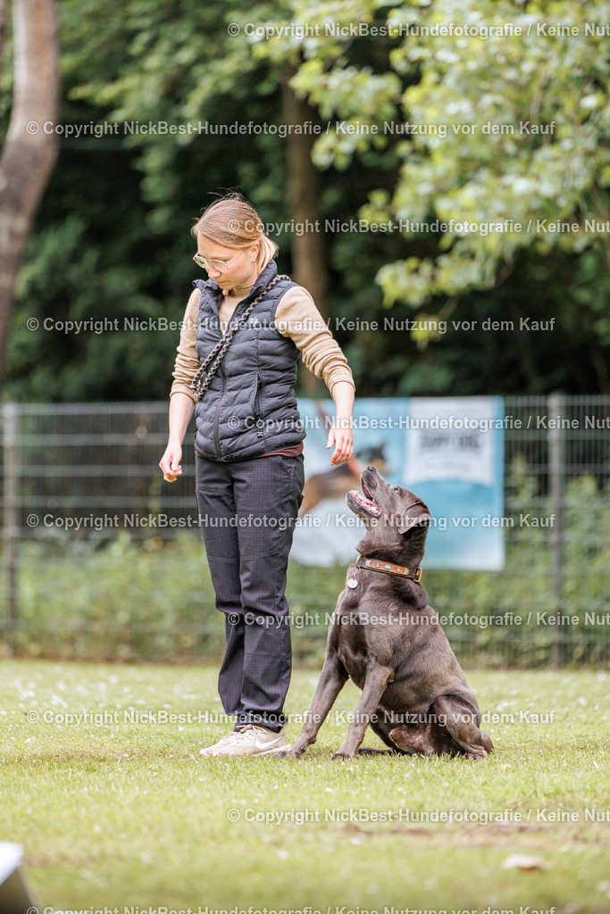 RO-Blumenthal-2026-Nickbest-Hundefotografie-3004 | Dein Hund! Dein Moment! Deine Erinnerungen! Hundefotografie in Bremen Blumenthal. Ich fange die besonderen Momente deines Vierbeiners ein – ob Indoor mit Blitzanlage oder in der freien Natur. Sicher dir dein Moment und dein Termin für eure Erinnerungen.