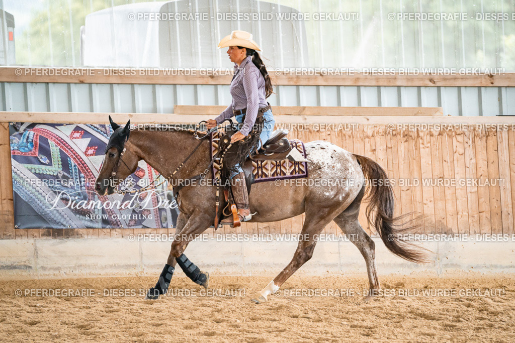 DSC00648 | Pferdegrafie