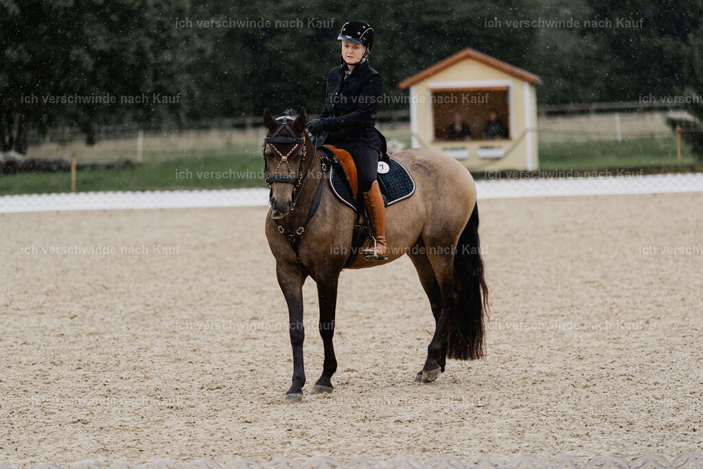 Katja7_FHC2025-8477 | working equitationturnier fotograf videograf stoibphotography marixx film working equitation deutschland reitsport turnierfotografie eventfotografie equestrian events
