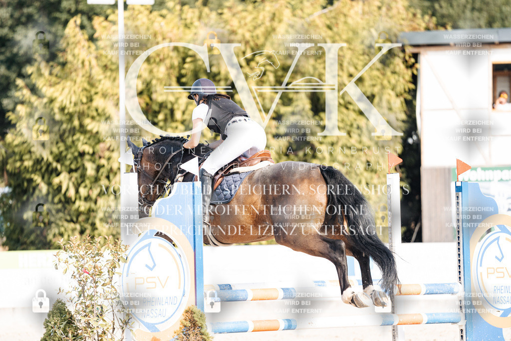 CK909403 | Turnierfotografie Pferdefotografie Trier Rheinland-Pfalz Pferdesport Reitsport Tierfotografie Sportfotografie Pferdevideo Pferdevideografie Equestrianvideography equestrianphotography  - Realisiert mit Pictrs.com