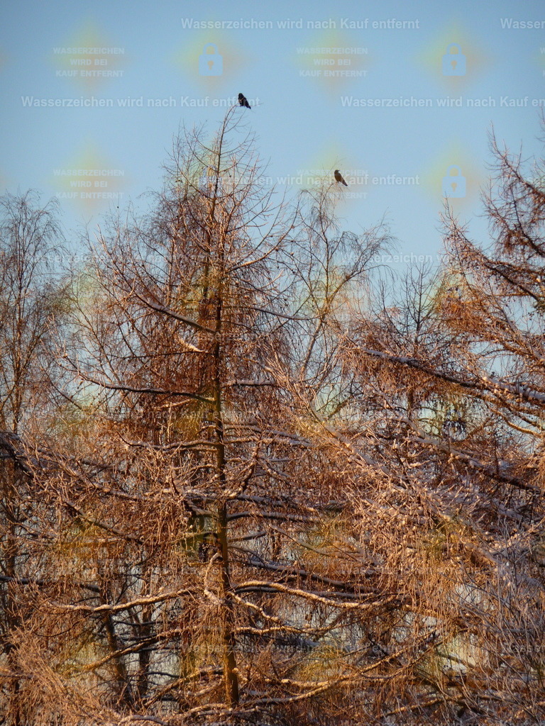 P1000225 | Fotoseite Wolkenblende - Das Hobby fotografieren begleitet mich schon  viele  Jahre. Auf den nächsten Seiten zeige ich ein paar Schnappschüsse der letzten Jahre und es kommen immer neue hinzu. Schau einfach mal rein. - Realisiert mit Pictrs.com