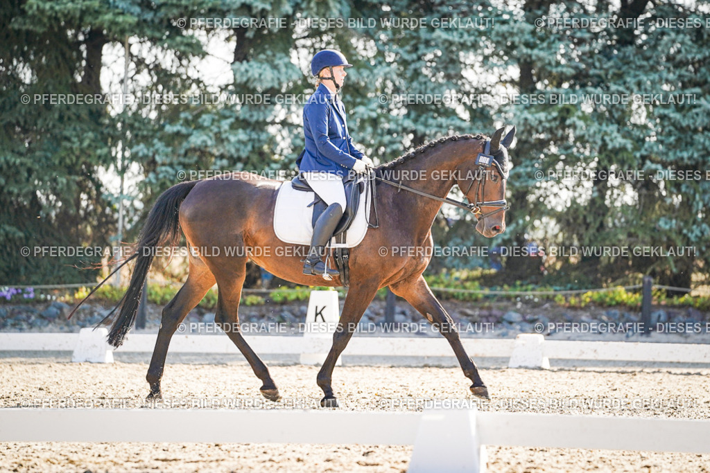 DSC09267 | Pferdegrafie