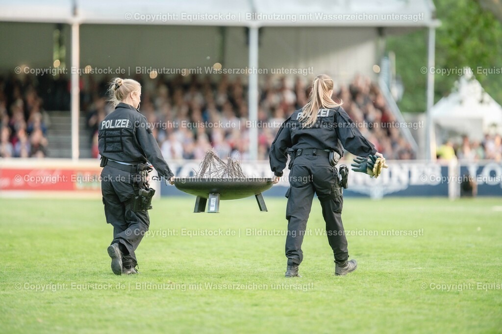 20230526_Pferdenacht_0363 | equistock