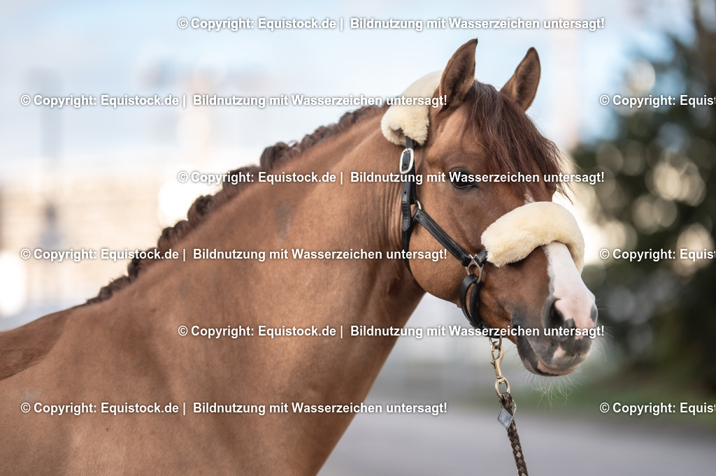 20231115_Ann-Cathrin-Rieg_und_Derrick_0024_TOMsPiC | Foto: Thomas Hartig