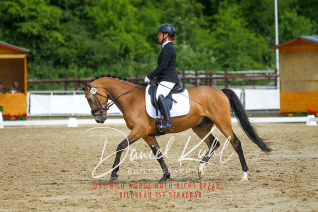 DKP45756 | Turniersportfotografie; Pferdefotografie; Dressurfotografie