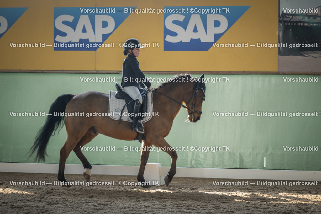 _D5A8537 | Emotionale Pferde- & People-Fotografie rund um Heidelberg, Leimen & Umgebung. Natürliche Fotos von Pferd, Mensch & Familie. Jetzt Termin sichern!
