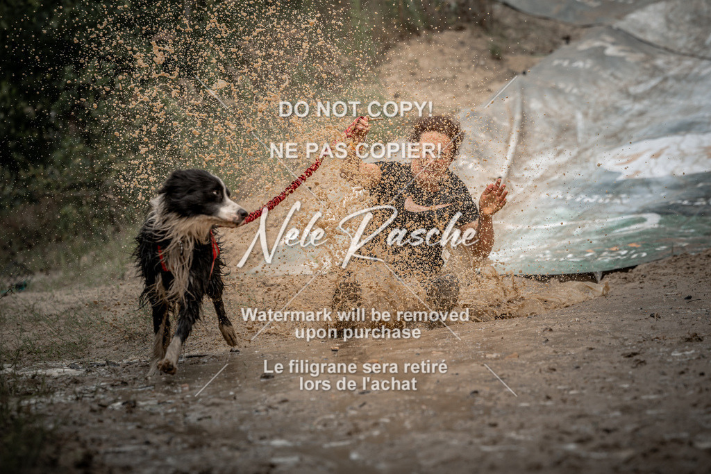 nelerasche_sa1300-1345_171 | nelerasche