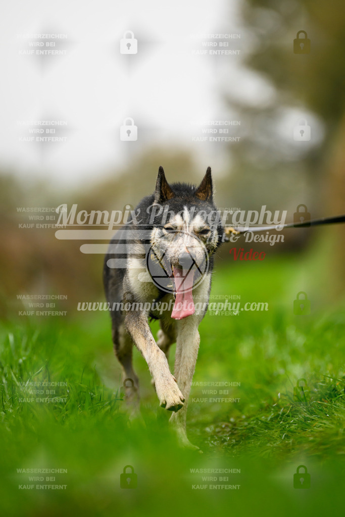 MompixPhotography_20TSB_E8_Bike-164 | PayLife