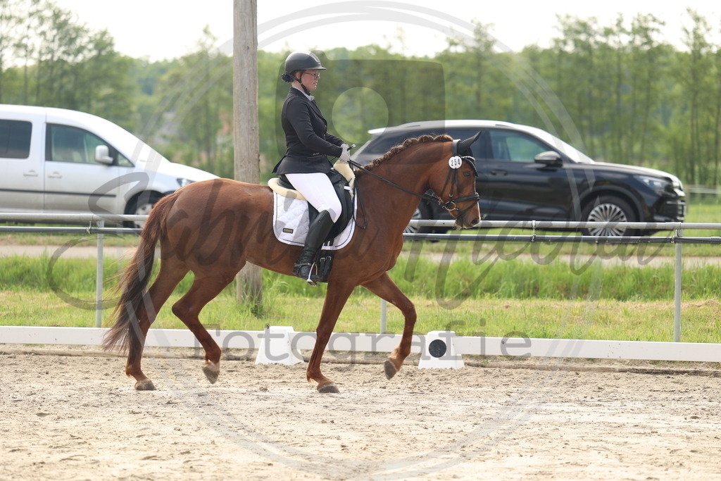 994A6360 | sabrinanicolaifotografie - Realisiert mit Pictrs.com