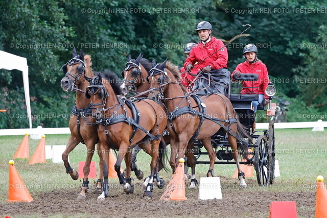 20240818-8960-reitsport-gespannfahren-HEN-FOTO | 18.08.2024 Reitsport Perdesport Deutsche Meisterschaften und Hessische Meisterschaften Gespannfahren in Herchenrode hier Kegelfahren für Vierspänner Pony Klasse S Sieger und erneut Deutscher Meister Steffen BRAUCHLE (PSV Schloß Kapfenburg) (Foto: Peter Henrich) - Realisiert mit Pictrs.com