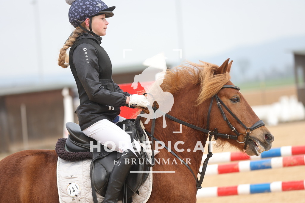 0P6A8695 | Willkommen bei Brunnmayr - Design & Fotografie – Ihrem Spezialisten für Reitturniere und Pferdeveranstaltungen in Oberösterreich, Salzburg und Bayern! Seit über 17 Jahren sind wir leidenschaftlich dabei.