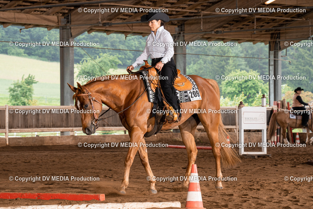 Erbach Tag 3-323 | dv-media-shop - Realisiert mit Pictrs.com