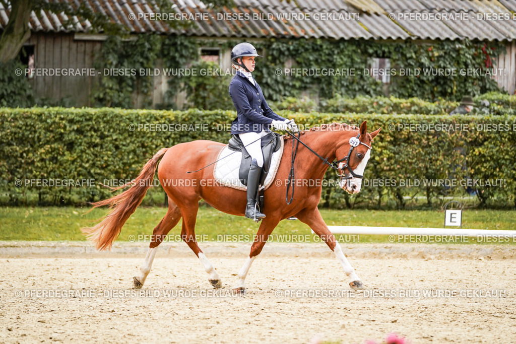 DSC08896 | Pferdegrafie