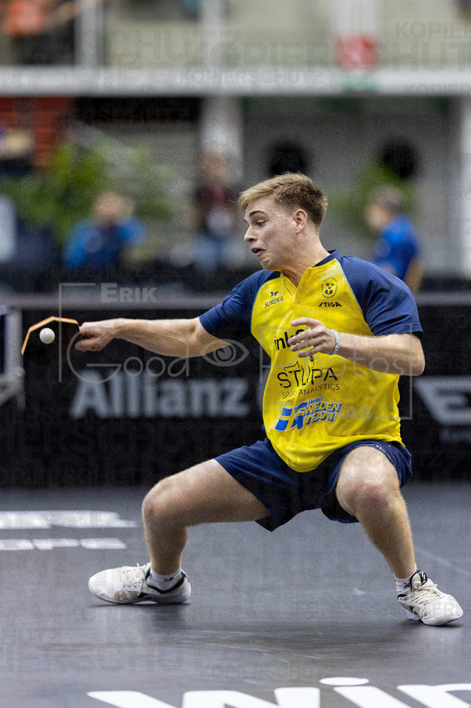 European_Championships_2024-10-17_192 | good-photos - Realisiert mit Pictrs.com