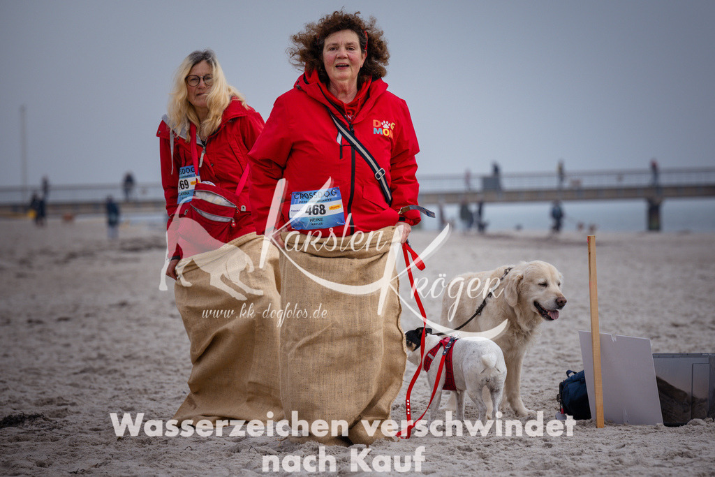 1155_ZZ91311 | kk-dogfotos