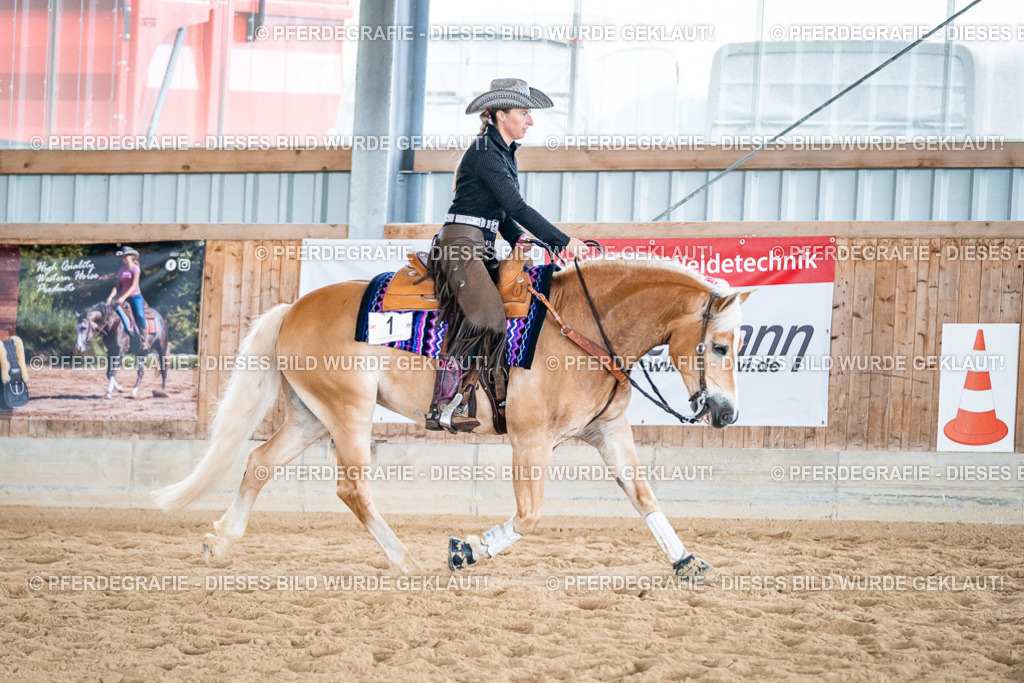 DSC07494 | Pferdegrafie