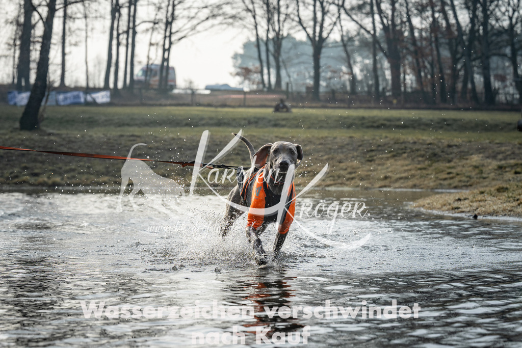0843_ZZ98042 | kk-dogfotos