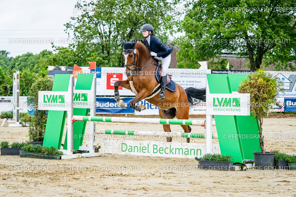 DSC02061 | Pferdegrafie