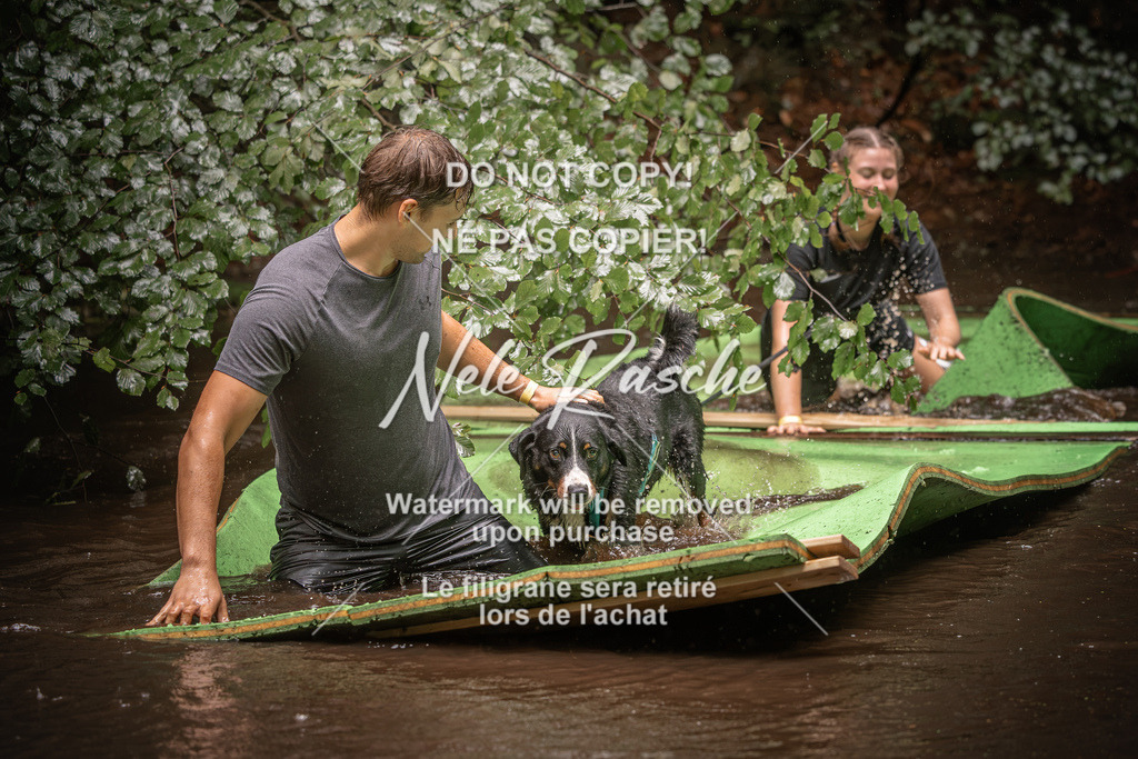 nelerasche_Wingst_Sa1330-1400_149 | nelerasche
