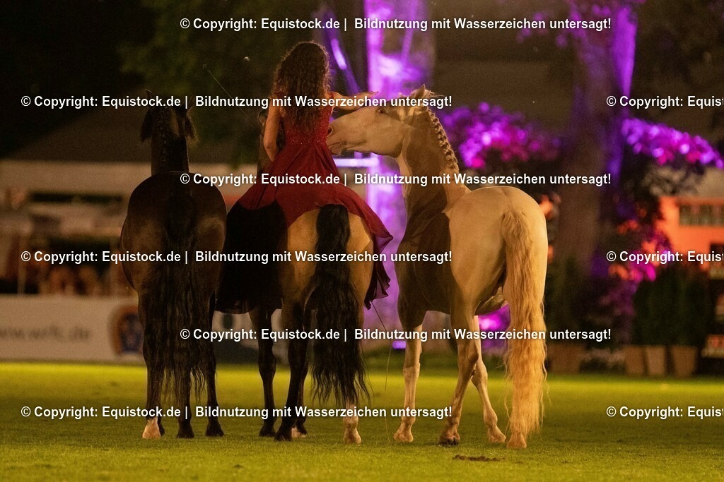 20230526_Pferdenacht_1471 | equistock