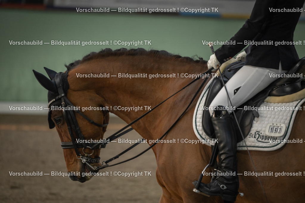 _D5A3870 | Emotionale Pferde- & People-Fotografie rund um Heidelberg, Leimen & Umgebung. Natürliche Fotos von Pferd, Mensch & Familie. Jetzt Termin sichern!