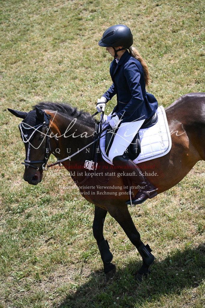 DSC_9487 | Pferde- und Turnierfotografie in Westsachsen. Pferdeportraits, Auftragszeichnungen und intuitive Kunst.