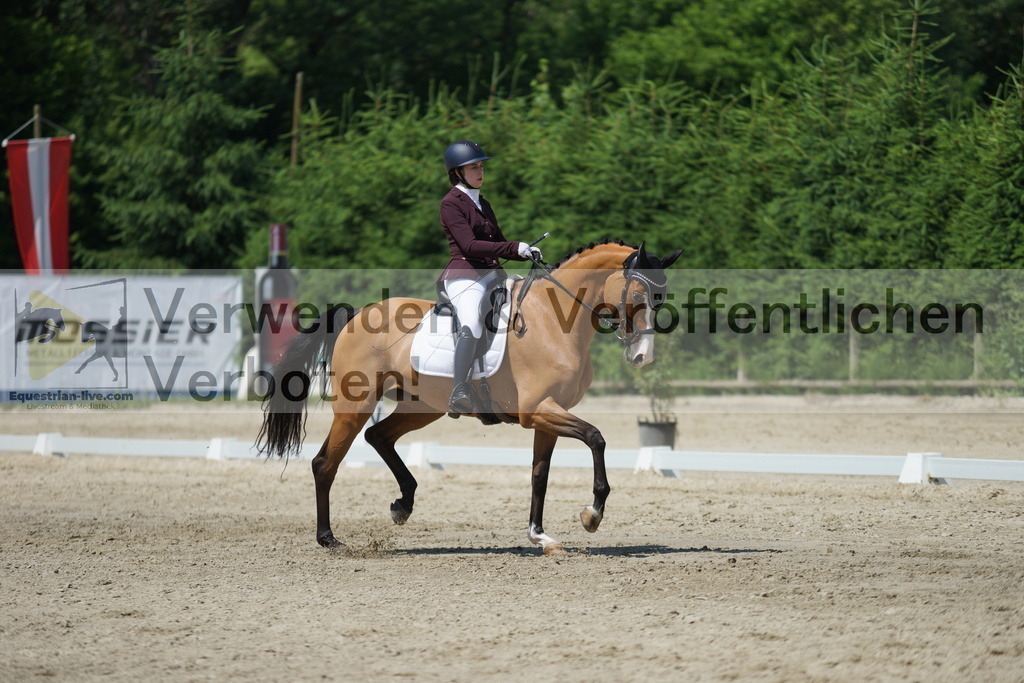 DSC01756 | equestrian-live-com