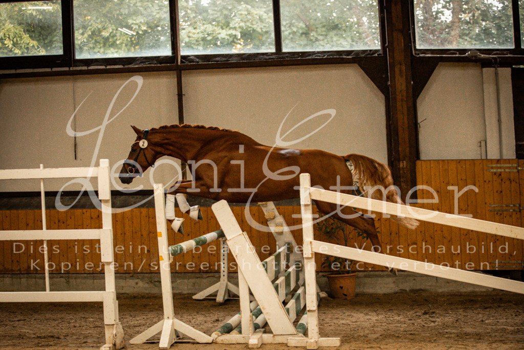 1FS_L00042 | Leoni Ertmer Photography - Realisiert mit Pictrs.com